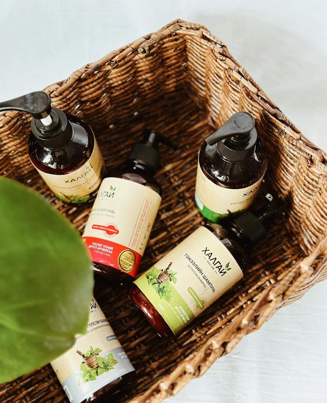 Khalgai anti-dandruff shampoo